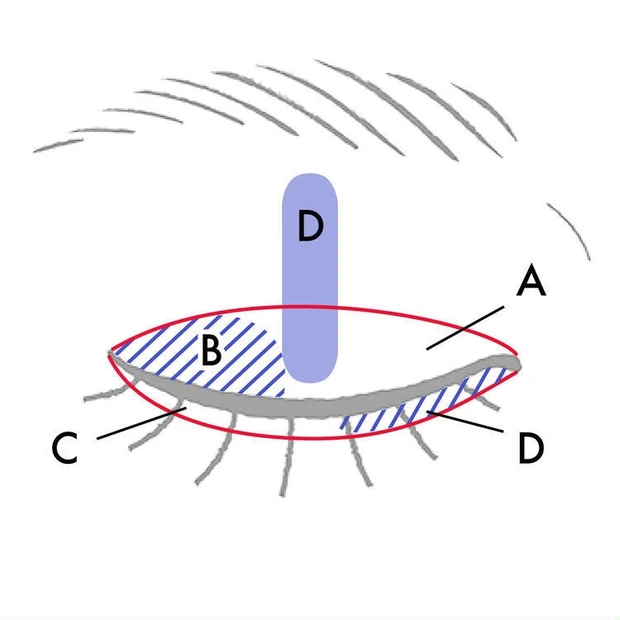 ディオール サンク クルール クチュール429 奥二重 塗り方