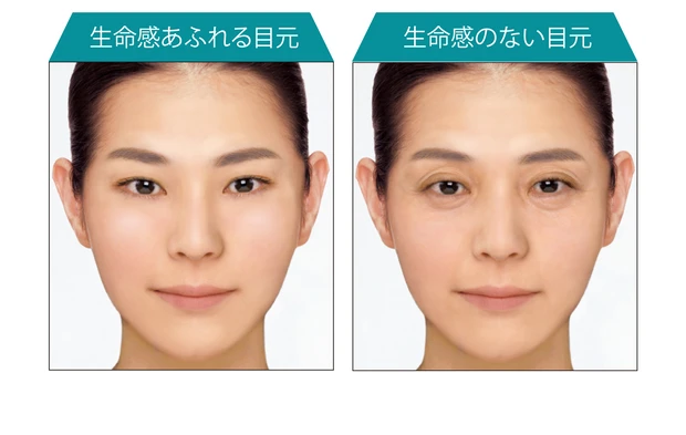 生命感あふれる目元 /  生命感のない目元 