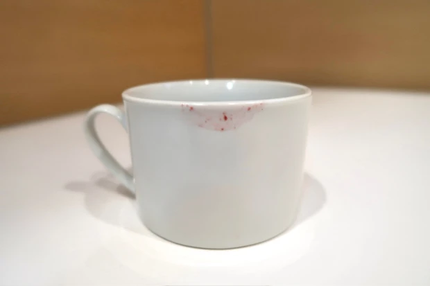 【タイコスメ♡100%ヴィーガンコスメ♡グロスのような光沢感のある唇が長時間続く】frun flynn シャインユー グロウティント_8_1