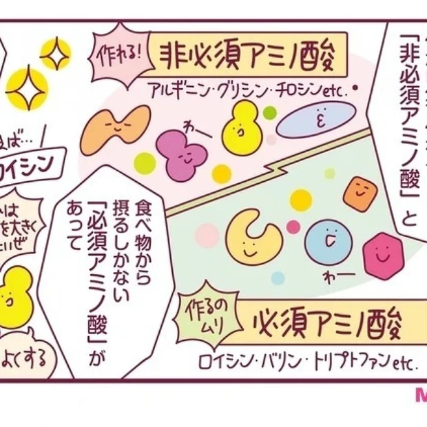 今、断然気になる栄養素「たんぱく質」って何がそんなにスゴイ!?