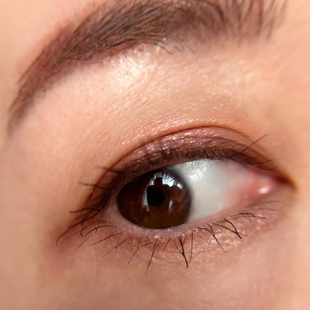 アイカラーレーション14 スウォッチ