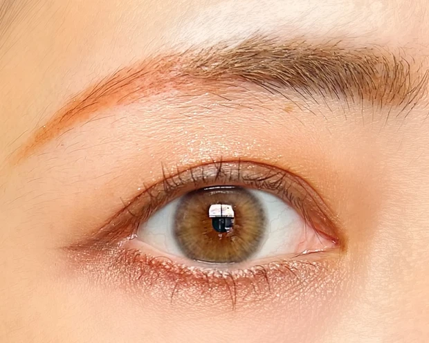 CANMAKE キャンメイク プティパレットアイズ アマンドブリュレ