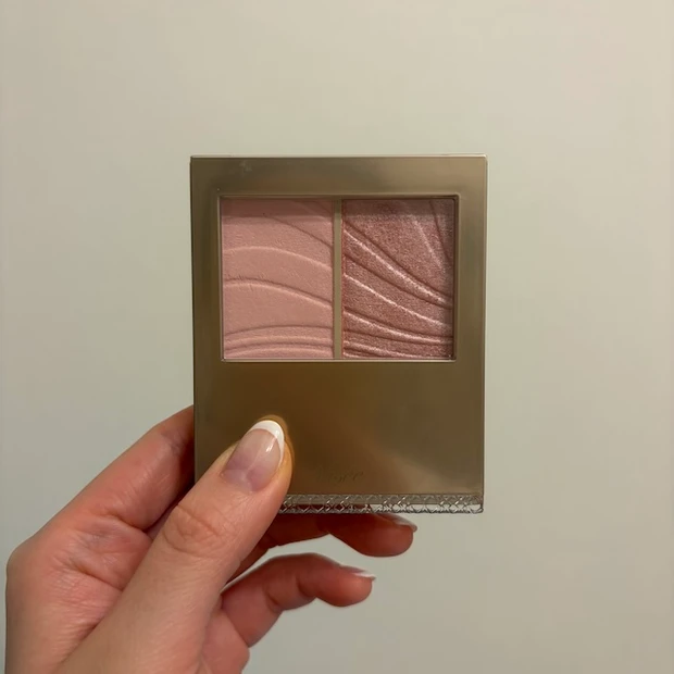 ヴィセ レイヤードフルリチーク ブルベ