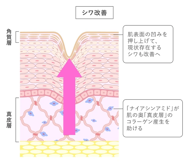 コラーゲン
