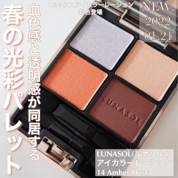ルナソル(LUNASOL)アイカラーレーション 14 アンバーダスク