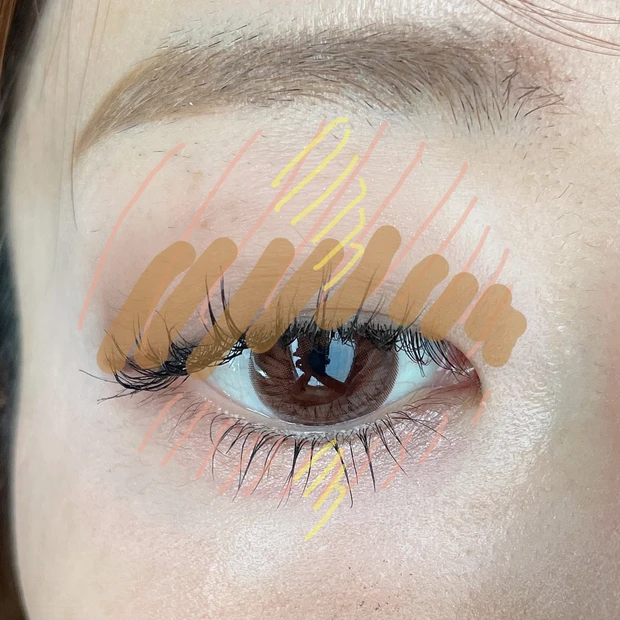 アイシャドウ　塗り方