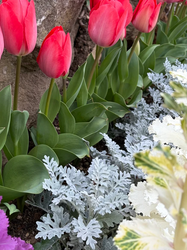 花粉による肌荒れにおすすめ美容液3選！30代敏感肌のリアルバイアイテム_1