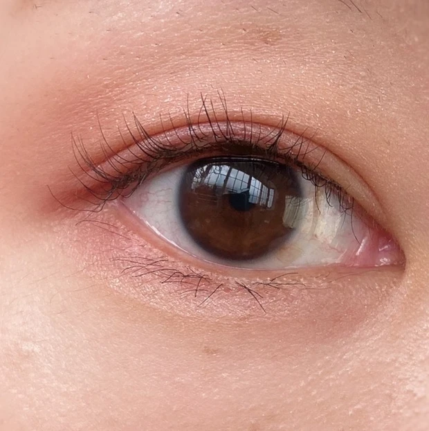 うぶ毛並みに薄い下まつ毛も自然に増えて感動！ エテュセの限定マスカラ下地＆ティントリップ #プチプラコスメは水曜日に_3