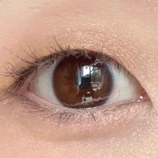 コスメデコルテ スキンシャドウデザイニングパレット 01 Rosy Brownでメイクした写真