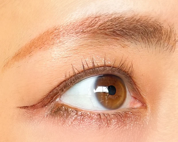 Wonjungyo ウォンジョンヨ Wデイリームードアップパレット 韓国コスメ TWICE