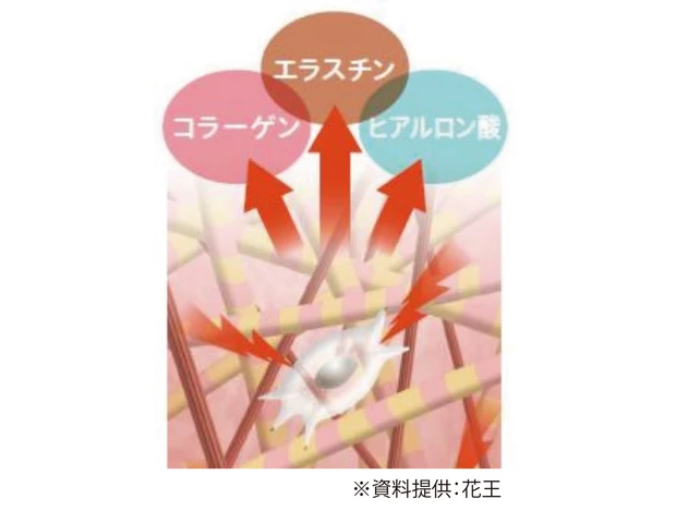 炭酸の最新知見