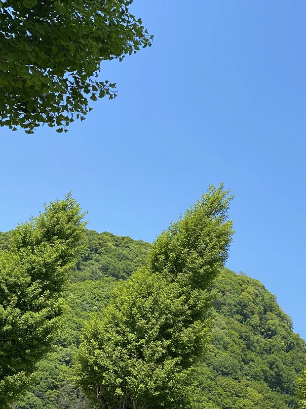 マスクの下を助けてくれる韓国コスメアイテム_2