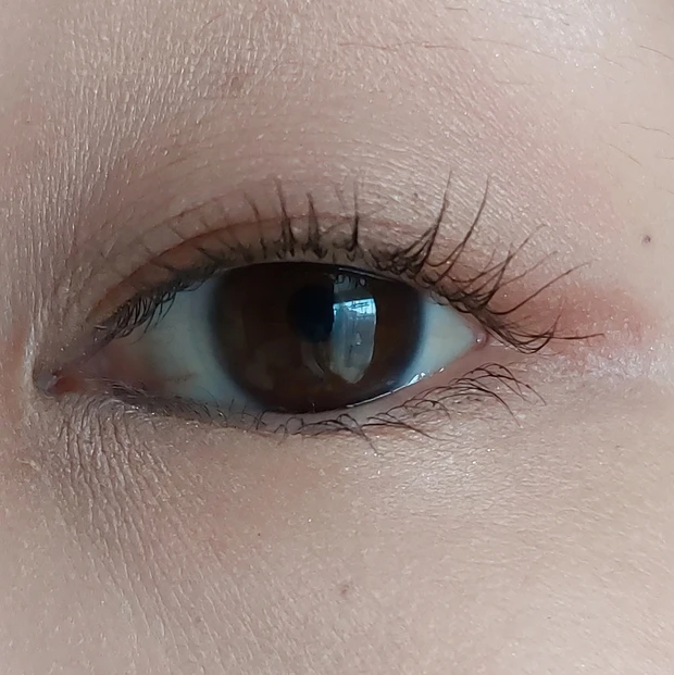 一重のよさが際立つカラー｜DIOR サンククルールクチュール 709アイコニックミューズが可愛すぎるので要チェック！_2_1