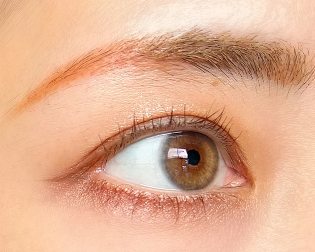 CANMAKE キャンメイク プティパレットアイズ アマンドブリュレ