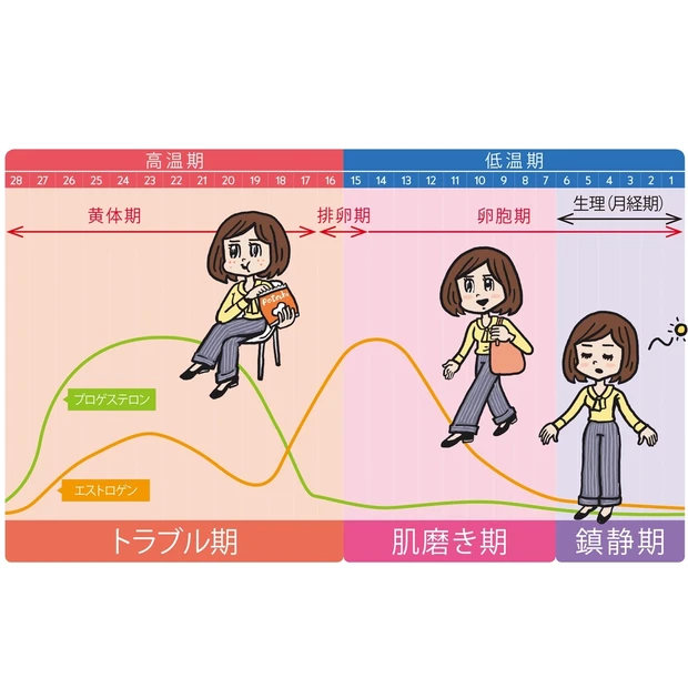 “生理サイクル”ありきのスキンケアで効率よくキレイに! 専門家がレクチャ…