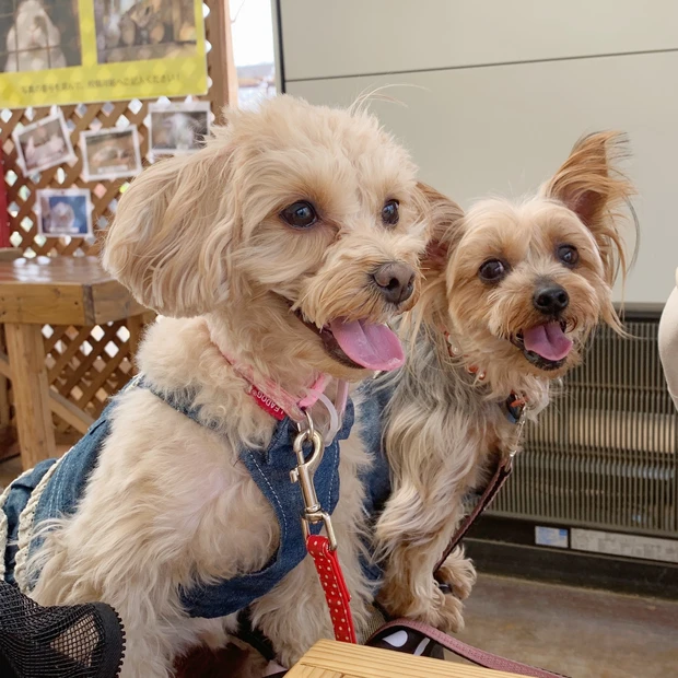 【自己紹介】2年目のhikaruです☺︎_3