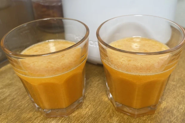 ヒューロム コールドプレスジューサー H70FT 口コミ 使い方