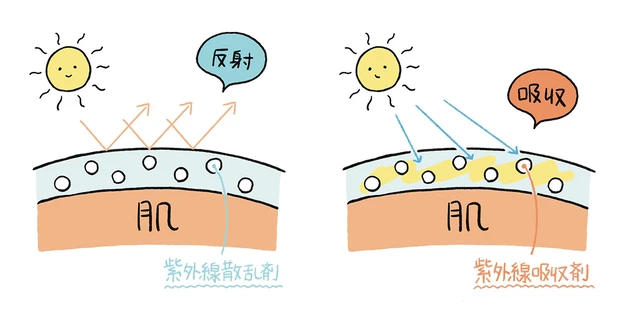 紫外線散乱剤 紫外線吸収剤