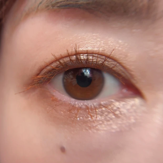 シグニチャーカラーアイズ14 使い方