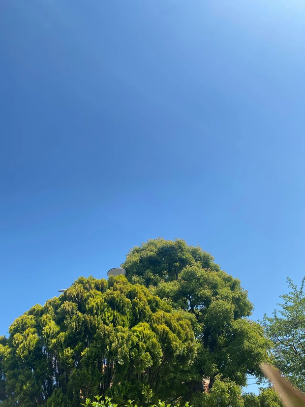  MAQUIAブロガー２年目になりました【自己紹介】_2