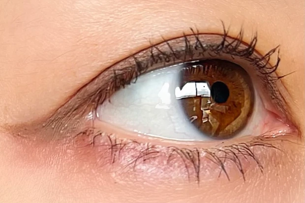 CANMAKE(キャンメイク)クリーミータッチライナー10ココアグレージュ