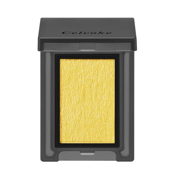 セルヴォーク ヴォランタリー アイズ 36 ￥2200