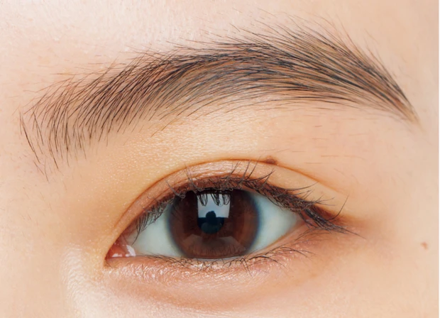 2025年最旬「トレンド眉」とは?