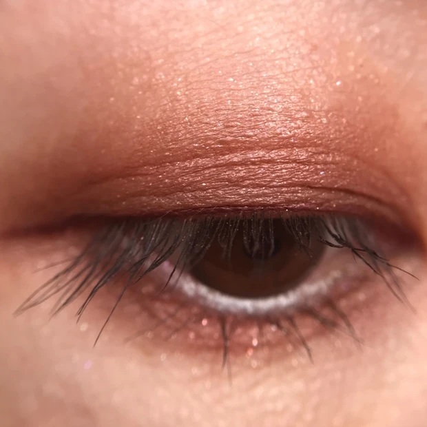 ADDICTION ザアイシャドウパレット008サウザンドロージズ