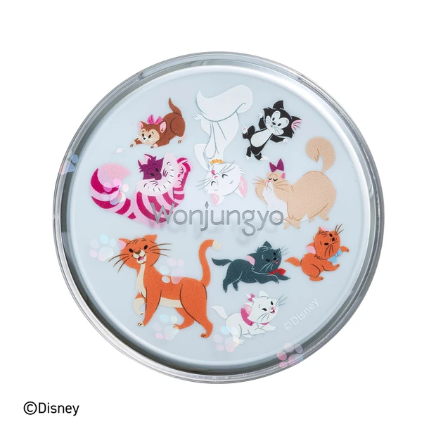 ウォンジョンヨ フィクシングブラーパウダー D