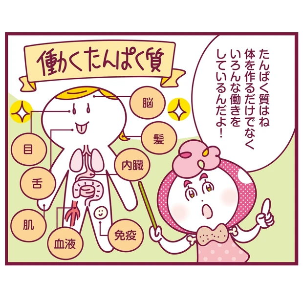 筋肉や美肌だけじゃない!「たんぱく質」って何がそんなにスゴイ!?