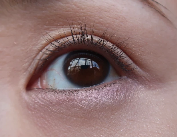 CANMAKE  プランぷくコーデアイズのパール