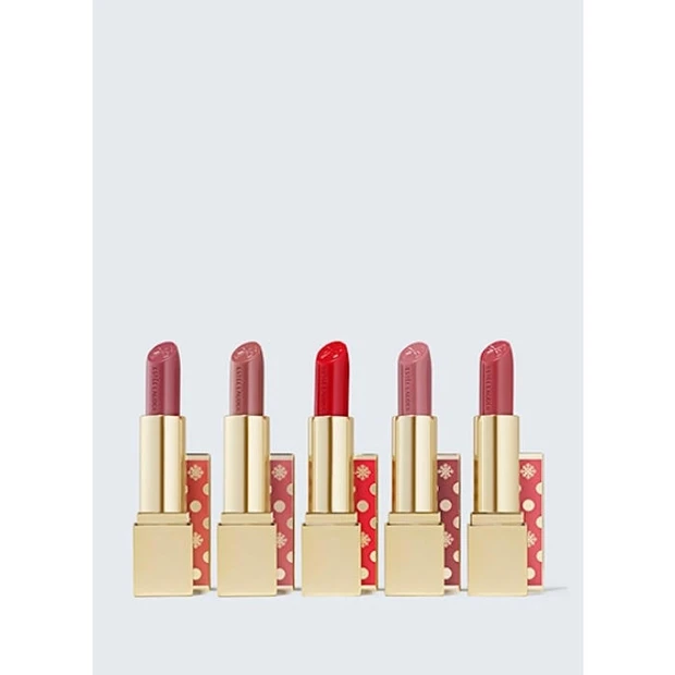 エスティ ローダー リップスティック セット