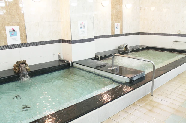 ルビーパレス 水風呂 韓国 新大久保 美肌