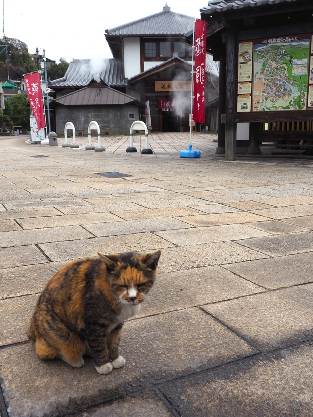 ひとリート　鉄輪温泉