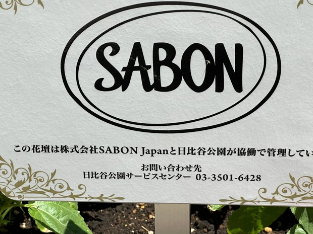 SABONの花壇を発見！_2