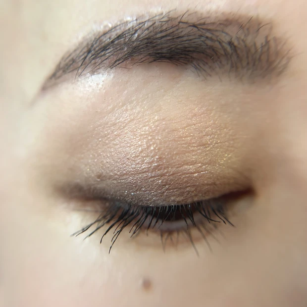 ニューテイク アイシャドウパレット G(クワイエットブラウン)　スウォッチ