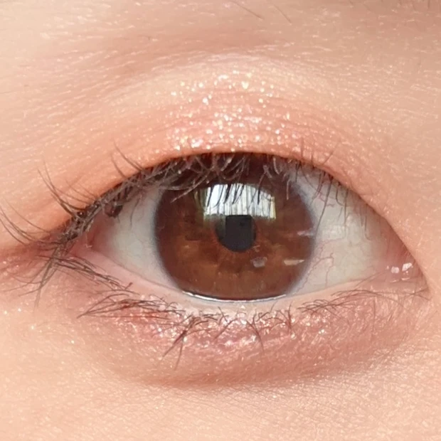 toocoolforschool アイグリッツ