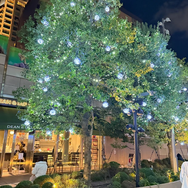 日比谷 イルミネーション