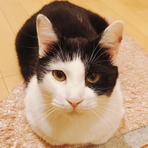 【自己紹介】3年目miriです！_2_2