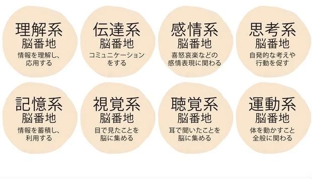 脳の8つの分野の働き