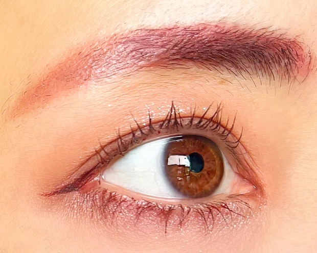 Wonjungyo ウォンジョンヨ Wデイリームードアップパレット 韓国コスメ TWICE