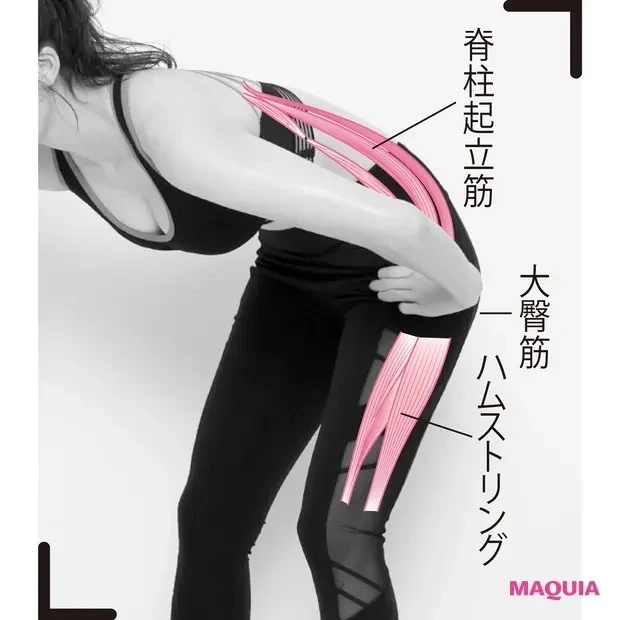 【食事と合わせて取り入れたい筋トレ】ココを強化! 脊柱起立筋(せきちゅうきりつきん)・大臀筋(だいでんきん)・ハムストリング