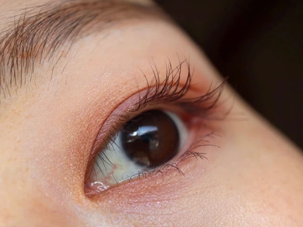 【色比較あり】大人気アイシャドウパレットの第2弾♡日本人のための日本限定パレットが登場!―rms beauty_9