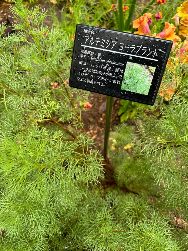 絵本の中にいるような美しい庭園「ラ・カスタ ナチュラル ヒーリング ガーデン」ブランド愛が高まる！！_4_2