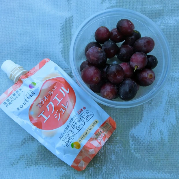 【エクエル ジュレ】女性に嬉しい成分をおいしいゼリーで！月に6日間の集中ケアを始めよう_3_2