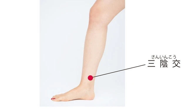 三陰交（さんいんこう）のツボ押し