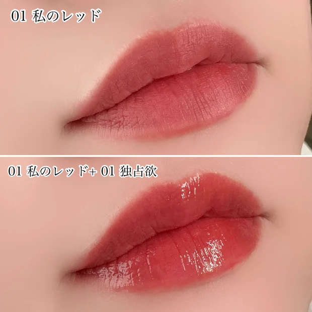 Fujiko フジコ 新作 なりすましティント プランピーリップ