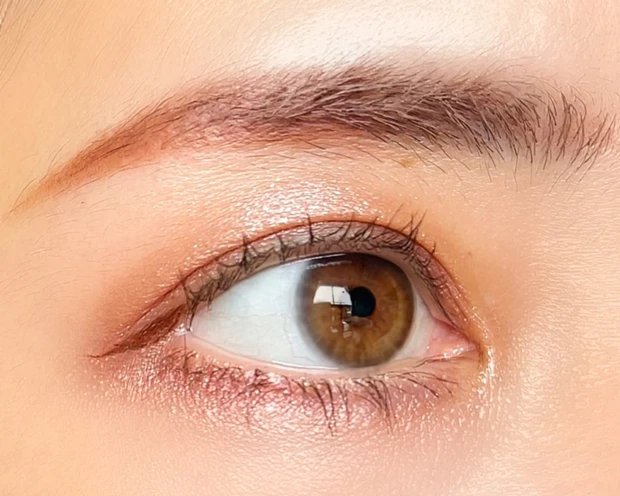 CANMAKE キャンメイク プティパレットアイズ プリュムフラワー