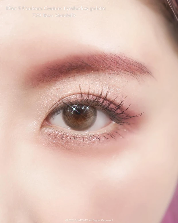 729 ローザ ムタビリスのメイク