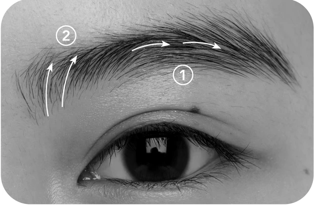 キスミー ヘビーローテーション 疑似眉リキッドアイブロウの使い方